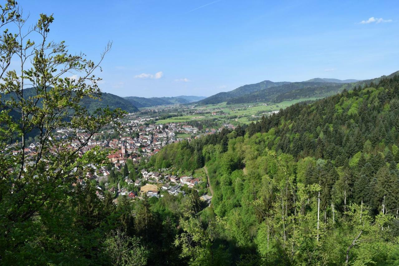 Ferienwohnung Im Dettenbachtal Вальдкирх Экстерьер фото