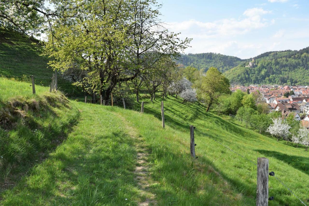 Ferienwohnung Im Dettenbachtal Вальдкирх Экстерьер фото